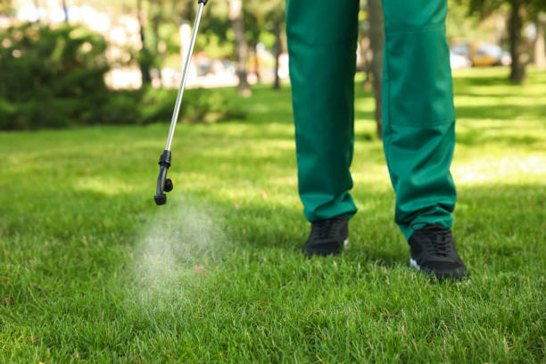 Best Cockroach Control Services  in Hayesville, OR