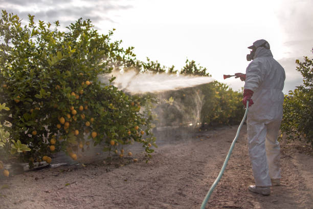 Best Commercial Pest Control Services  in Hayesville, OR