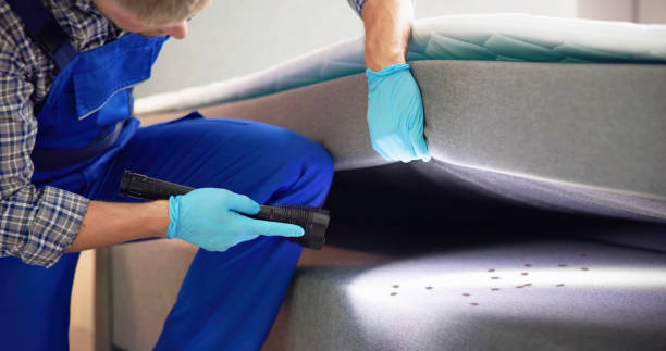 Best Residential Pest Control  in Hayesville, OR