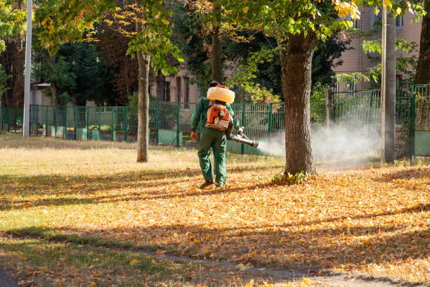 Trusted Hayesville, OR Pest Control Experts