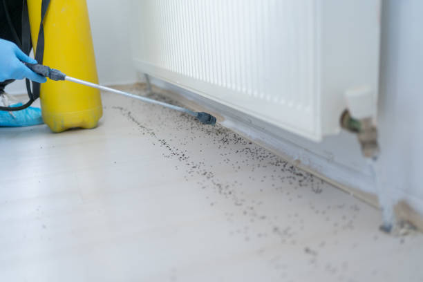 Best Pest Prevention Services  in Hayesville, OR