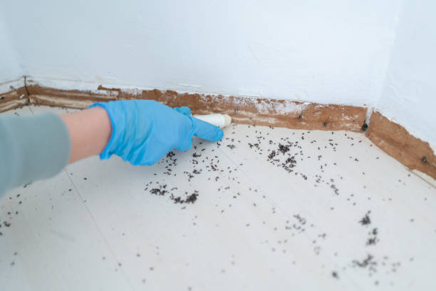Best Best Pest Control Companies  in Hayesville, OR